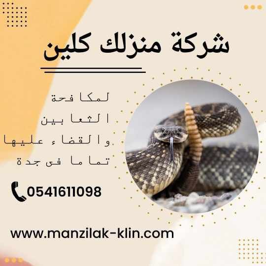 شركة رش ثعابين في جدة  